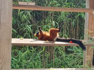 Annelies 13 Zon op je buik